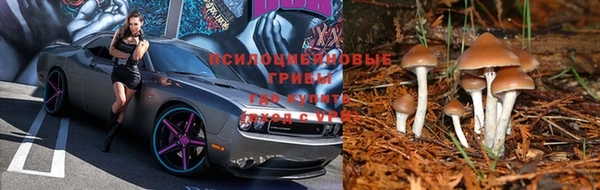 мескалин Кукмор