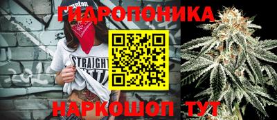 соль ск Пугачёв