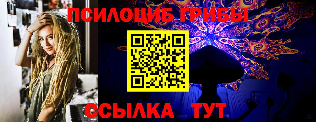 Псилоцибиновые грибы Cubensis Нерюнгри