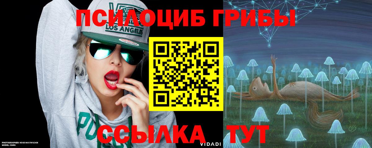 Псилоцибиновые грибы MAGIC MUSHROOMS  Вход с VPN  Нерюнгри 